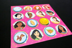 Disney Princess See the Story Board